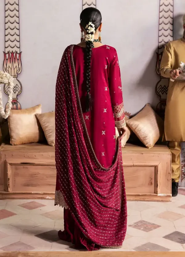 Sahane Embroidered Raw Silk Suits Unstitched 3 Piece SNE24TG TSG-07 Merlot - Festive Collection - Image 4