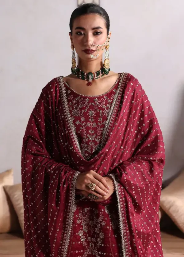 Sahane Embroidered Raw Silk Suits Unstitched 3 Piece SNE24TG TSG-07 Merlot - Festive Collection - Image 3